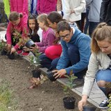 Súr: Iskolások virágokat ültetnek